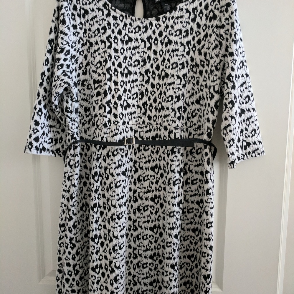 Lane Bryant Snow leopard dress with belt